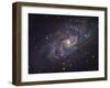 Triangulum Galaxy-Stocktrek Images-Framed Photographic Print