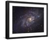 Triangulum Galaxy-Stocktrek Images-Framed Photographic Print