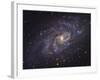 Triangulum Galaxy-Stocktrek Images-Framed Photographic Print