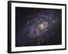 Triangulum Galaxy-Stocktrek Images-Framed Photographic Print