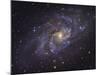 Triangulum Galaxy-Stocktrek Images-Mounted Photographic Print