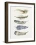 Tribal Feather II-Melissa Wang-Framed Art Print