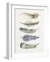 Tribal Feather II-Melissa Wang-Framed Art Print