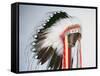 Tribal Headdress, Sioux Tribe (Textile and Feathers)-American-Framed Stretched Canvas