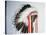 Tribal Headdress, Sioux Tribe (Textile and Feathers)-American-Stretched Canvas