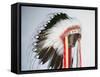 Tribal Headdress, Sioux Tribe (Textile and Feathers)-American-Framed Stretched Canvas