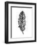 Tribal Vector Feather. Hand Drawn Indian Illustration. Vintage Poster.-Qilli-Framed Art Print