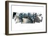 Tribeca Collage-Erin Clark-Framed Art Print