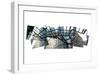 Tribeca Collage-Erin Clark-Framed Art Print