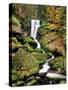 Triberg Waterfall in Autumn, Black Forest, Baden-Wurttemberg, Germany-null-Stretched Canvas
