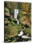 Triberg Waterfall in Autumn, Black Forest, Baden-Wurttemberg, Germany-null-Stretched Canvas