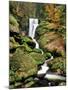 Triberg Waterfall in Autumn, Black Forest, Baden-Wurttemberg, Germany-null-Mounted Photographic Print