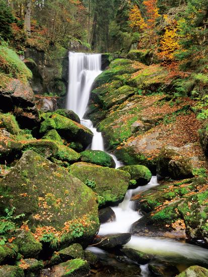 Premium Photographic Print, , large