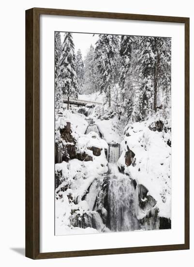 Triberg Waterfalls in Winter, Triberg, Black Forest, Baden-Wurttemberg, Germany, Europe-Markus Lange-Framed Photographic Print