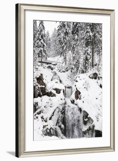 Triberg Waterfalls in Winter, Triberg, Black Forest, Baden-Wurttemberg, Germany, Europe-Markus Lange-Framed Photographic Print