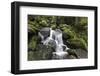 Triberger Waterfalls, Triberg (Village), Black Forest, Baden-Wurttemberg, Germany-Steffen Beuthan-Framed Photographic Print