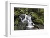 Triberger Waterfalls, Triberg (Village), Black Forest, Baden-Wurttemberg, Germany-Steffen Beuthan-Framed Photographic Print