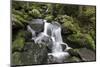 Triberger Waterfalls, Triberg (Village), Black Forest, Baden-Wurttemberg, Germany-Steffen Beuthan-Mounted Photographic Print