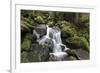 Triberger Waterfalls, Triberg (Village), Black Forest, Baden-Wurttemberg, Germany-Steffen Beuthan-Framed Photographic Print