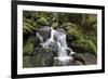 Triberger Waterfalls, Triberg (Village), Black Forest, Baden-Wurttemberg, Germany-Steffen Beuthan-Framed Photographic Print