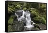 Triberger Waterfalls, Triberg (Village), Black Forest, Baden-Wurttemberg, Germany-Steffen Beuthan-Framed Stretched Canvas