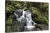 Triberger Waterfalls, Triberg (Village), Black Forest, Baden-Wurttemberg, Germany-Steffen Beuthan-Stretched Canvas