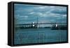 Triborough Bridge New York City-null-Framed Stretched Canvas