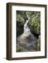 Tributary of River Tweed Where Brown Trout(Salmo Trutta) and Atlantic Salmon(Salmo Salar) Spawn, UK-Rob Jordan-Framed Photographic Print