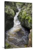 Tributary of River Tweed Where Brown Trout(Salmo Trutta) and Atlantic Salmon(Salmo Salar) Spawn, UK-Rob Jordan-Stretched Canvas