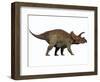 Triceratops, a Herbivorous Dinosaur from the Cretaceous Period-null-Framed Art Print