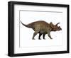 Triceratops, a Herbivorous Dinosaur from the Cretaceous Period-null-Framed Art Print
