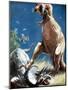 Triceratops, a Horned Dinosaur, Held Down by a Tyrannosaur, C1920-null-Mounted Giclee Print