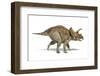 Triceratops Dinosaur, Artwork-null-Framed Photographic Print