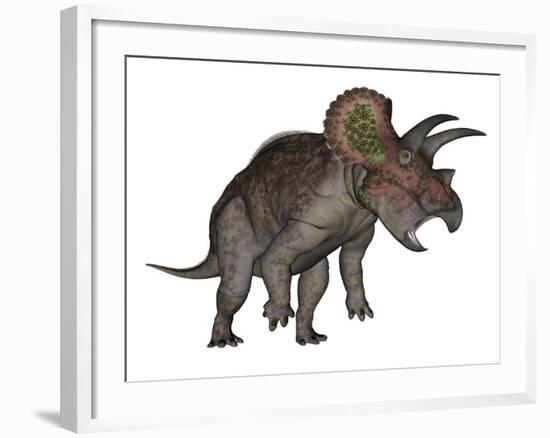 Triceratops Dinosaur Standing Up-Stocktrek Images-Framed Art Print