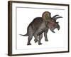Triceratops Dinosaur Standing Up-Stocktrek Images-Framed Art Print