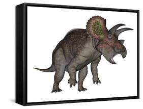 Triceratops Dinosaur Standing Up-Stocktrek Images-Framed Stretched Canvas