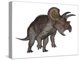 Triceratops Dinosaur Standing Up-Stocktrek Images-Stretched Canvas