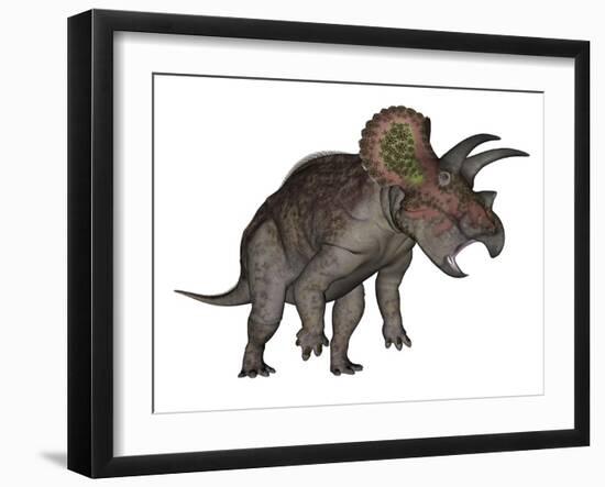 Triceratops Dinosaur Standing Up-Stocktrek Images-Framed Art Print