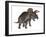 Triceratops Dinosaur Standing Up-Stocktrek Images-Framed Art Print