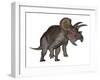 Triceratops Dinosaur Standing Up-Stocktrek Images-Framed Art Print