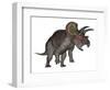 Triceratops Dinosaur Standing Up-Stocktrek Images-Framed Art Print