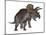 Triceratops Dinosaur Standing Up-Stocktrek Images-Mounted Art Print