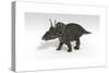 Triceratops Dinosaur, White Background-null-Stretched Canvas