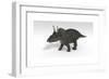 Triceratops Dinosaur, White Background-null-Framed Art Print