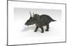 Triceratops Dinosaur, White Background-null-Mounted Art Print