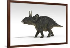 Triceratops Dinosaur, White Background-null-Framed Art Print