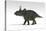 Triceratops Dinosaur, White Background-null-Stretched Canvas