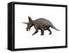 Triceratops Dinosaur-null-Framed Stretched Canvas