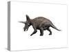 Triceratops Dinosaur-null-Stretched Canvas