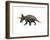 Triceratops Dinosaur-null-Framed Art Print